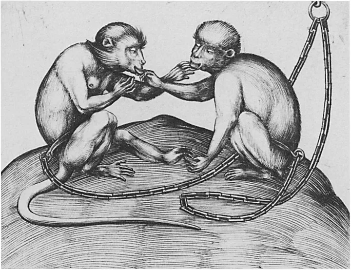 Israhel van Meckenem, Two Monkeys, 1500